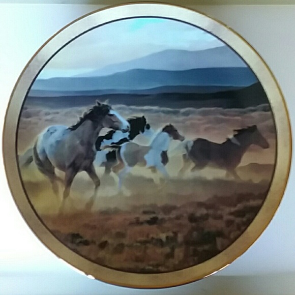 Danbury Mint Other - Danbury Mint Collectors plate,  Wild and Free.